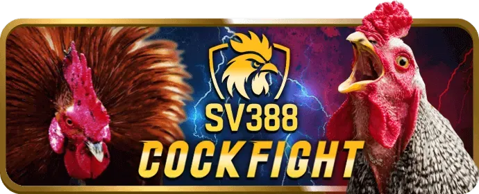 Minh họa quản lý dữ liệu và trải nghiệm người dùng tại 789win info